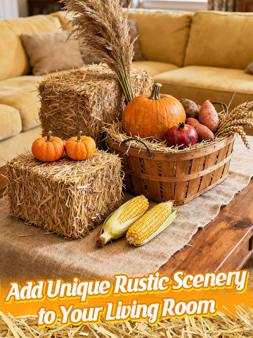 MEWTOGO natural straw bale suitable for farm bedding and seasonal decorating