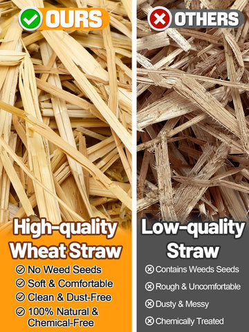 MEWTOGO wheat straw warm bed ready for shelters, helping pets feel comfortable in cold weather