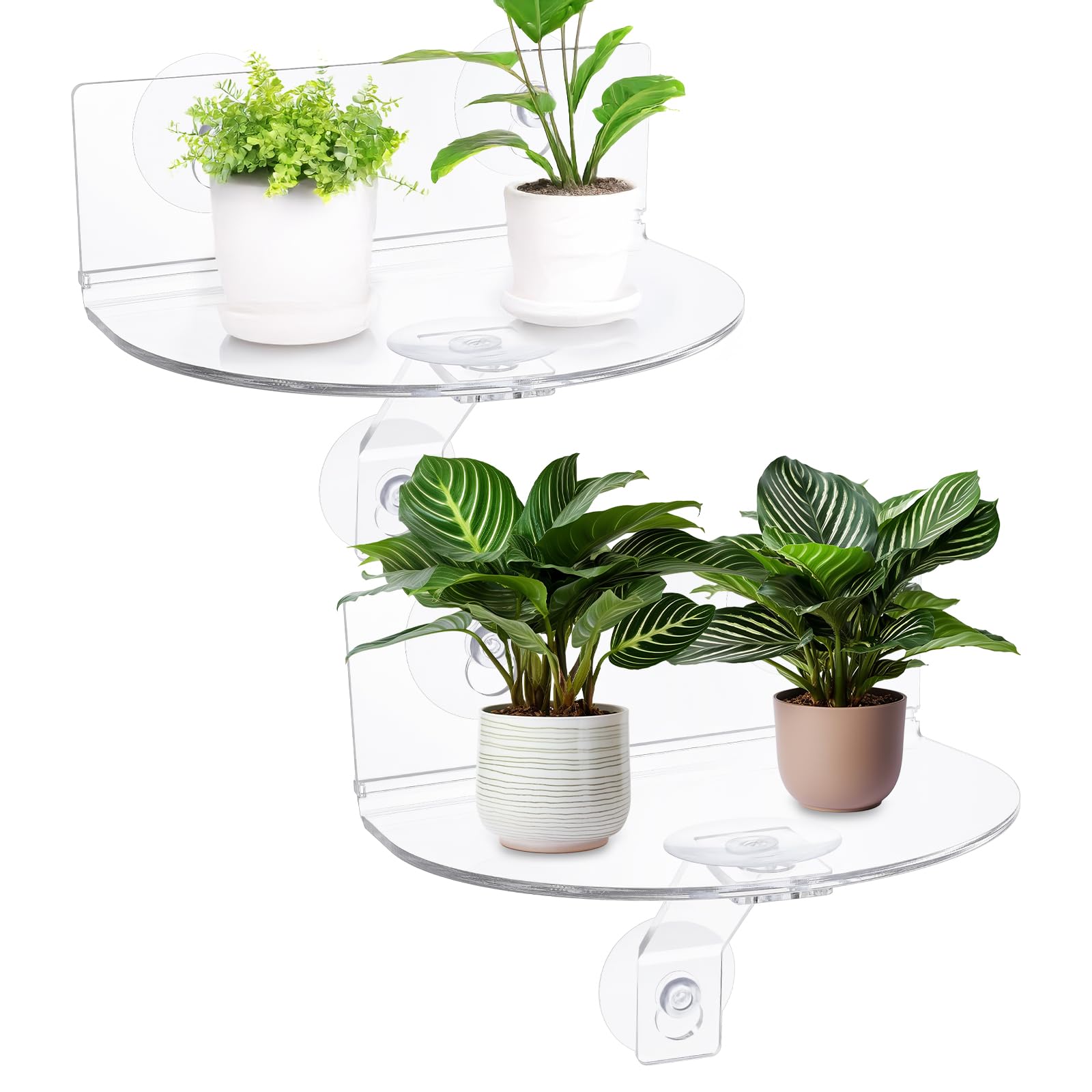 Meyeyaia window shelf stability with load-bearing design