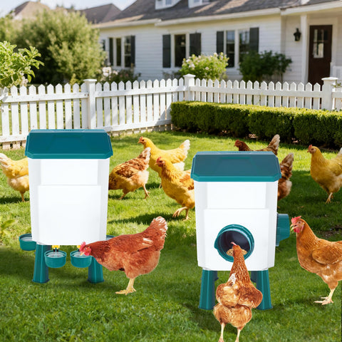 Meyoppm backyard-ready poultry feeder and waterer for home farms