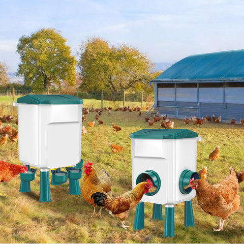 Meyoppm ducks and geese-friendly setup suitable for varied poultry