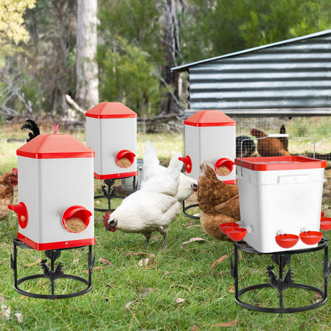 MeyRolizn feeder waterer rack boosts coop organization and reduces spills