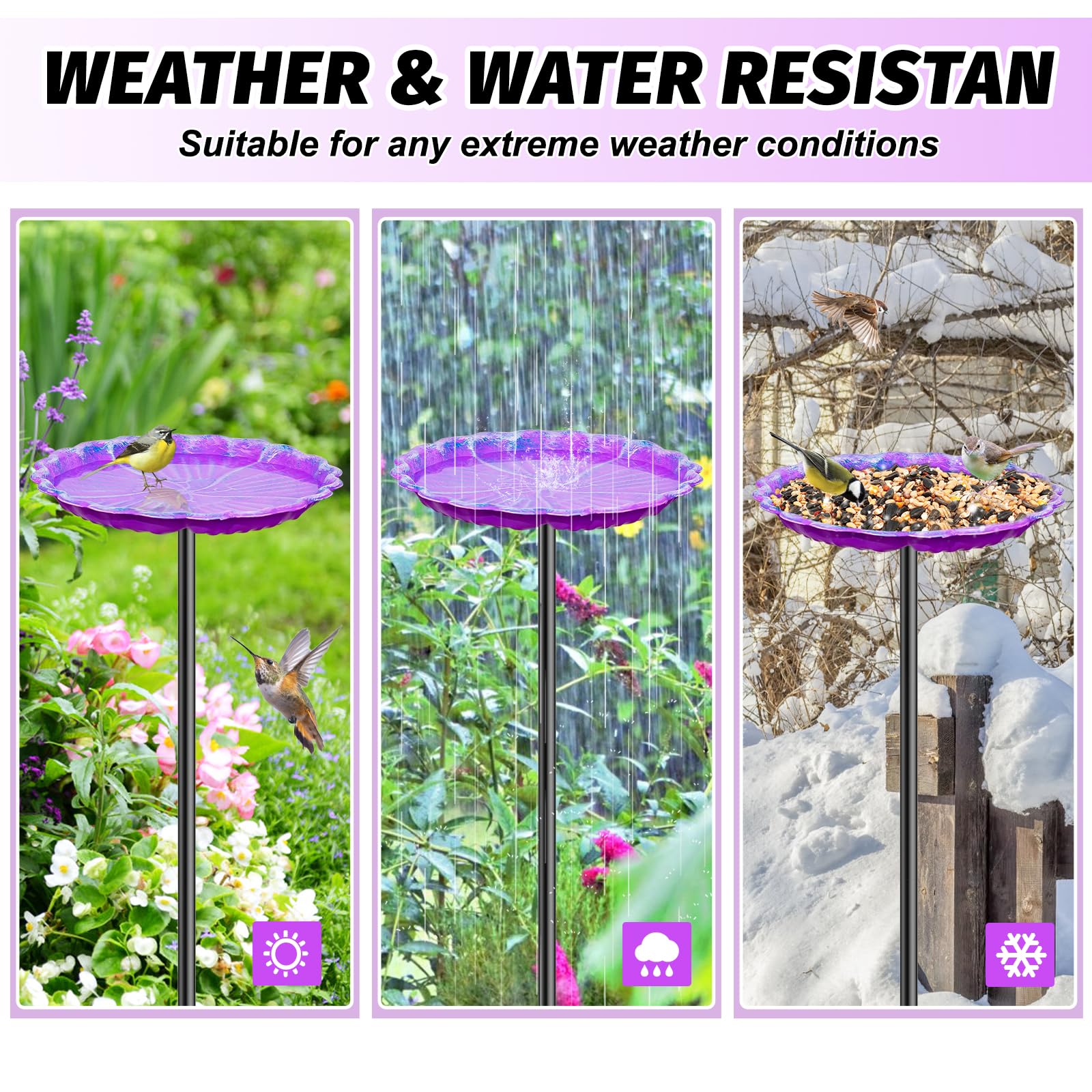 MeyRolizn detachable birdfeeder enables flexible feeding options.