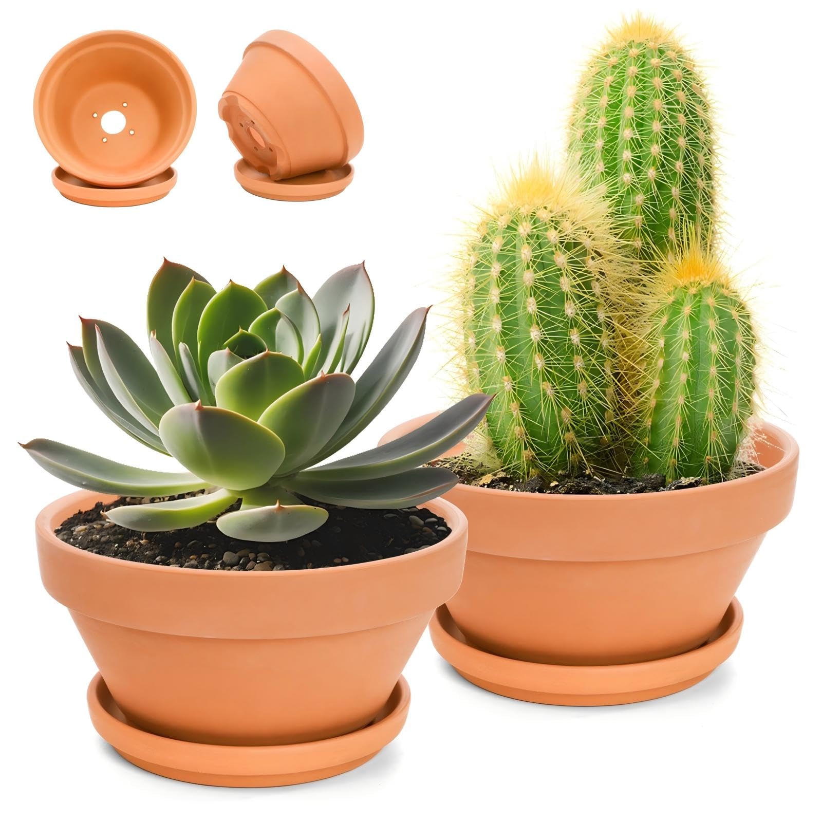 Mezchi 8-inch terracotta pot with saucer for healthy root drainage.