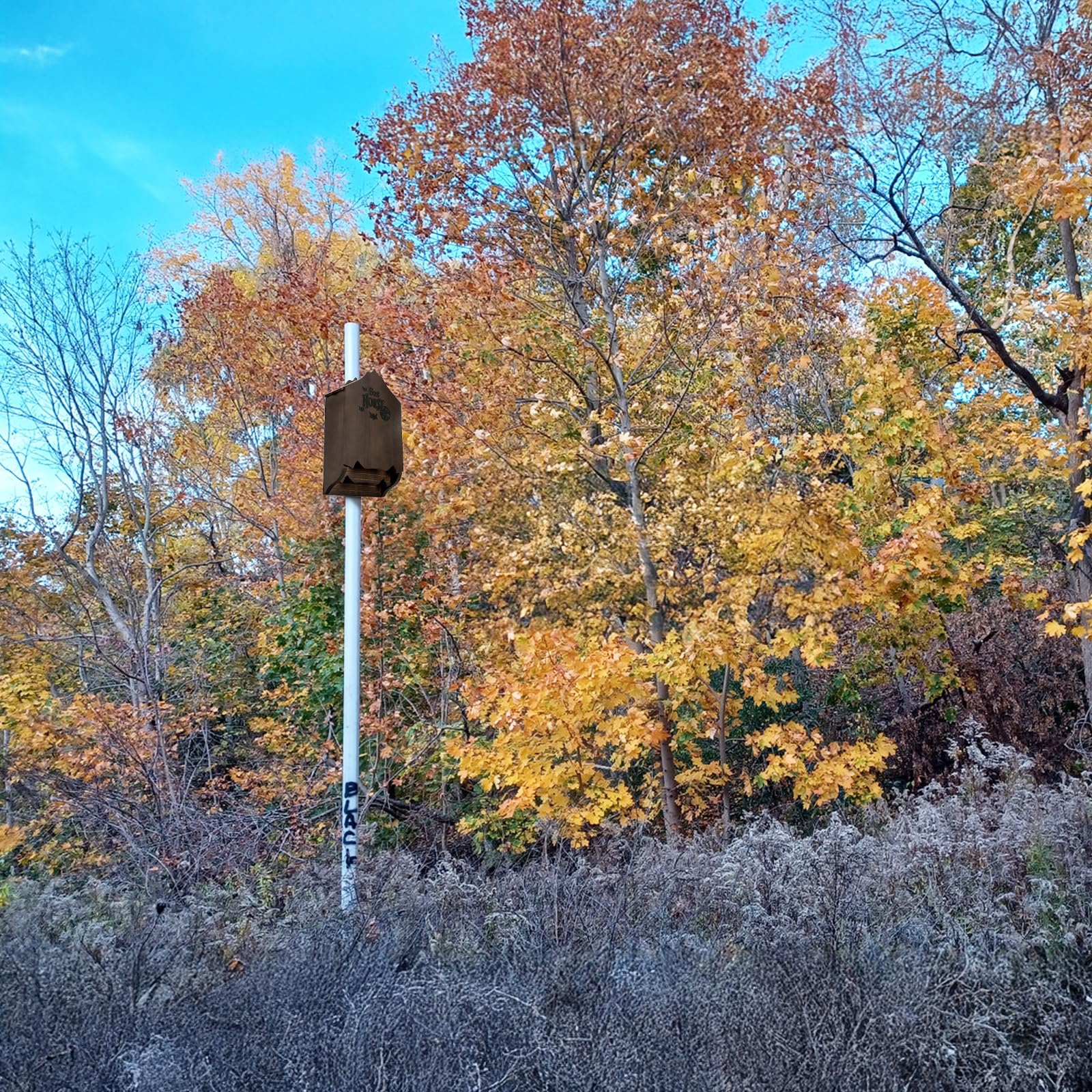 Mezchi bat house weatherproof design withstands rain and snow.