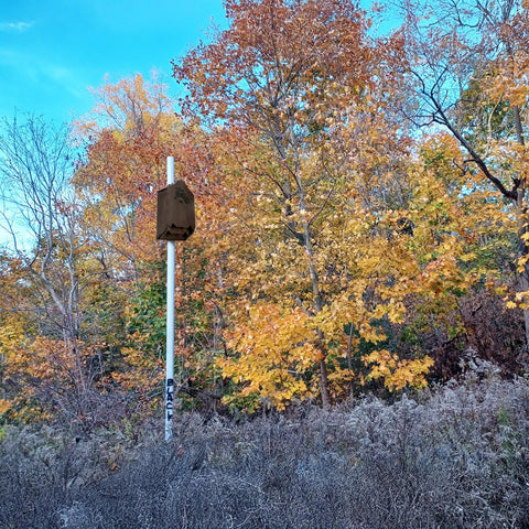 Mezchi bat house weatherproof design withstands rain and snow.