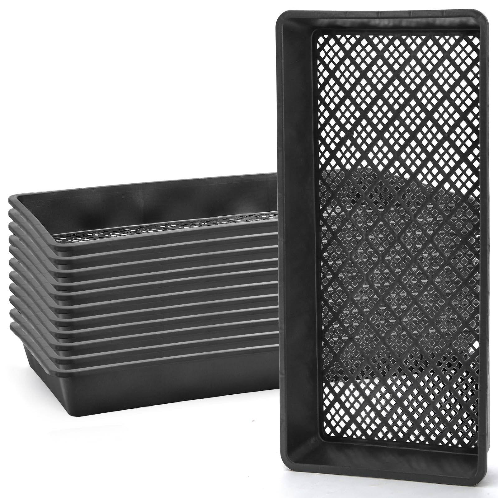Mezchi seed-starter-tray-1020 for efficient germination and organized seedling propagation.