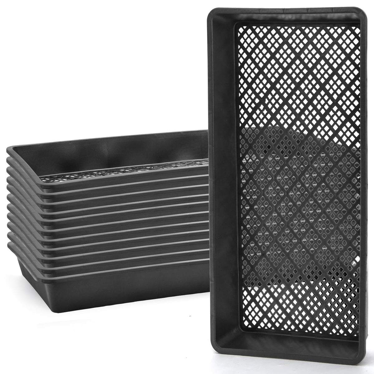 Mezchi seed-starter-tray-1020 for efficient germination and organized seedling propagation.