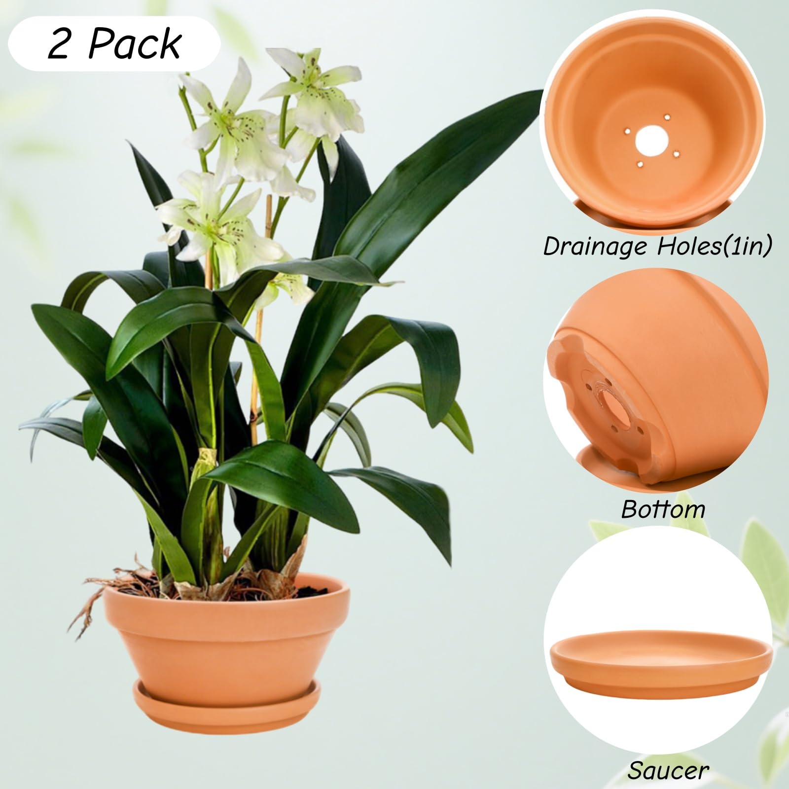 Mezchi 8-inch planter suitable for indoor and outdoor use.