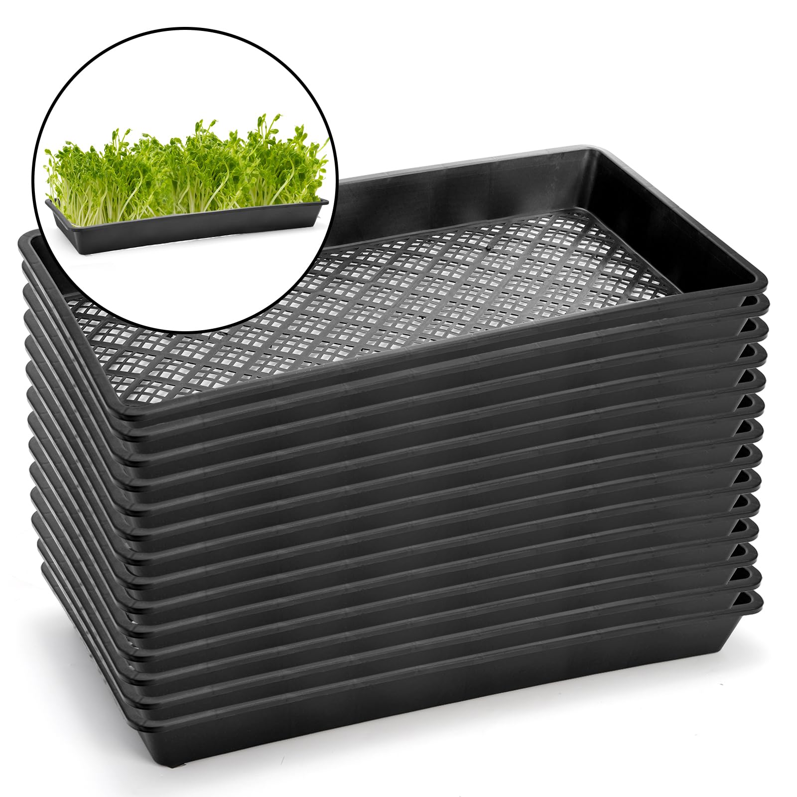 Mezchi ventilated-germination-tray ensures proper air circulation to support even root growth.