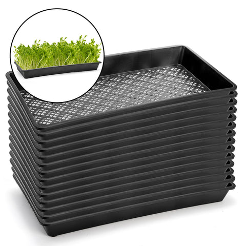 Mezchi ventilated-germination-tray ensures proper air circulation to support even root growth.