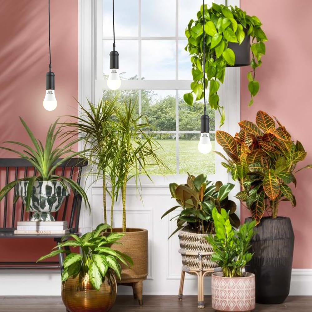 mfxmf A19 indoor gardening boosts herbs and vegetables with consistent light.