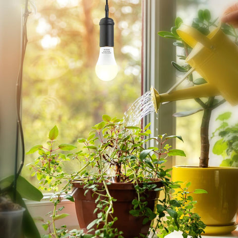 mfxmf A19 LED bulb with E26 base, easy install for home garden setups.