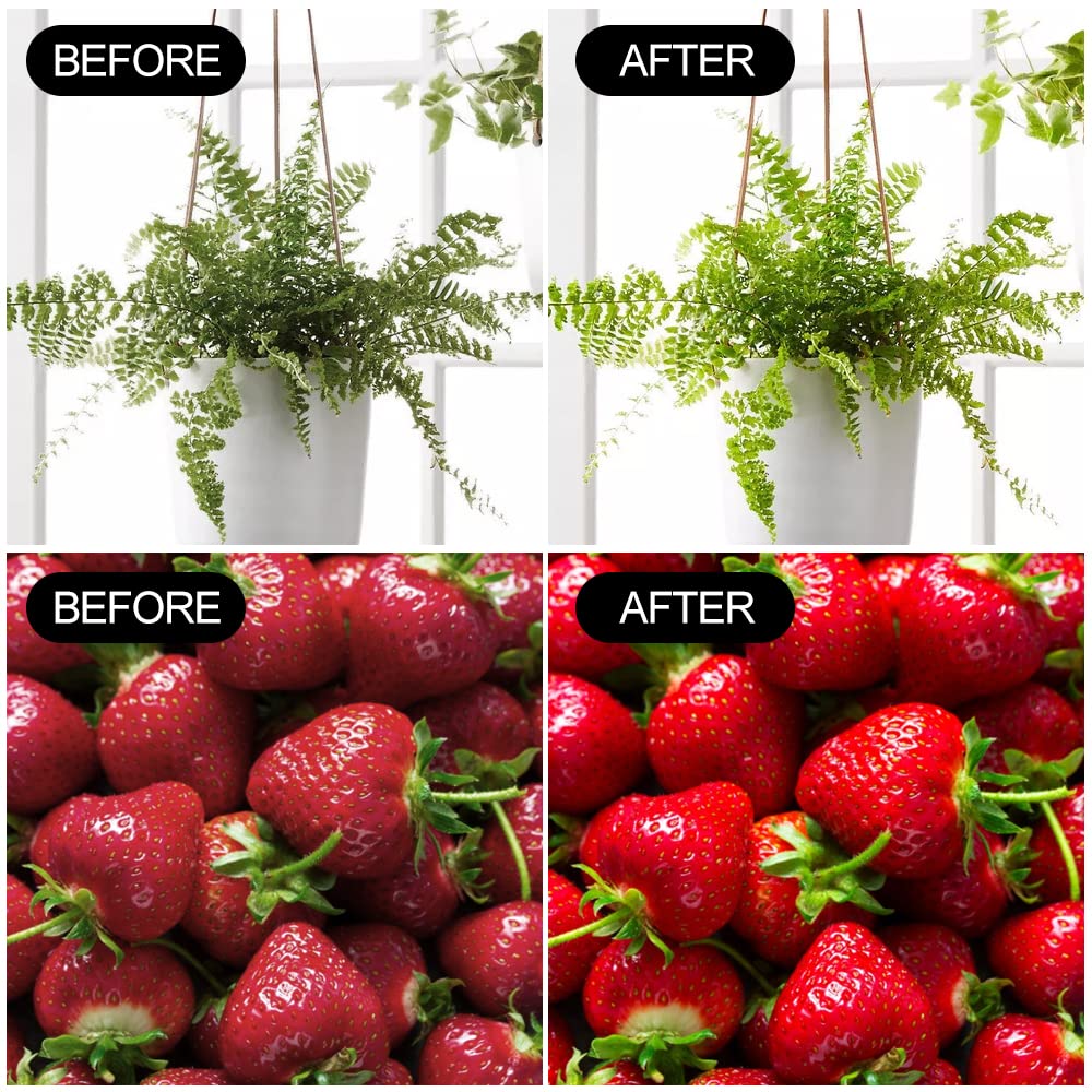 mfxmf A19 two-pack provides budget-friendly indoor farming options.
