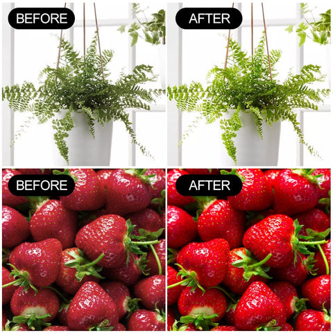 mfxmf A19 two-pack provides budget-friendly indoor farming options.