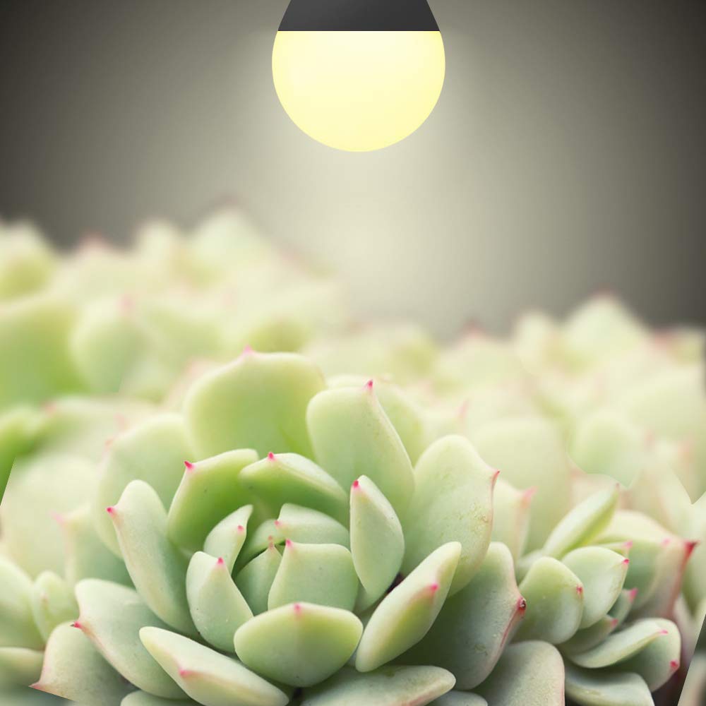 mfxmf LED grow light bulbs chip close-up highlighting high-quality diodes for healthy indoor growth