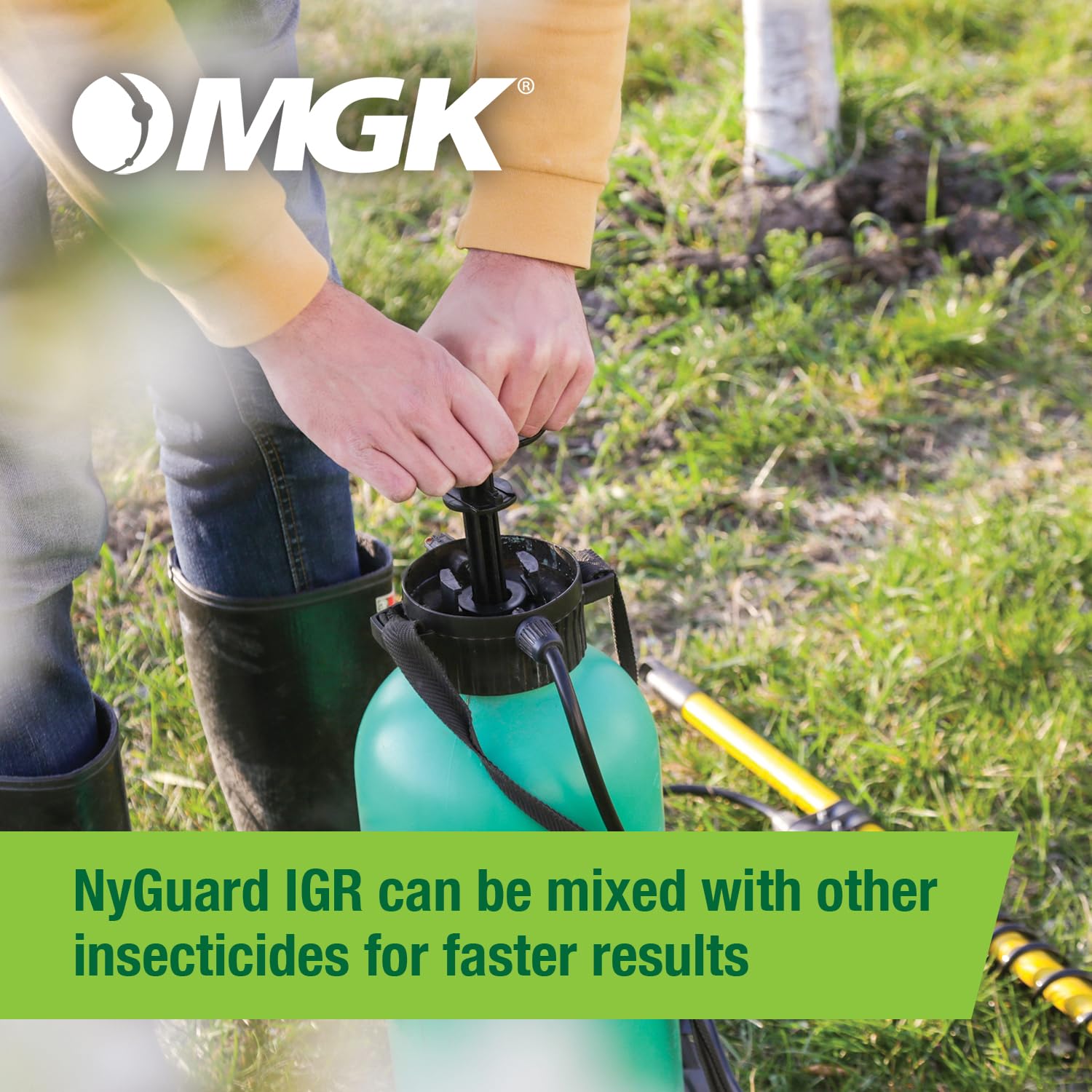 Indoor use of NyGuard IGR in food and non-food areas for pest management
