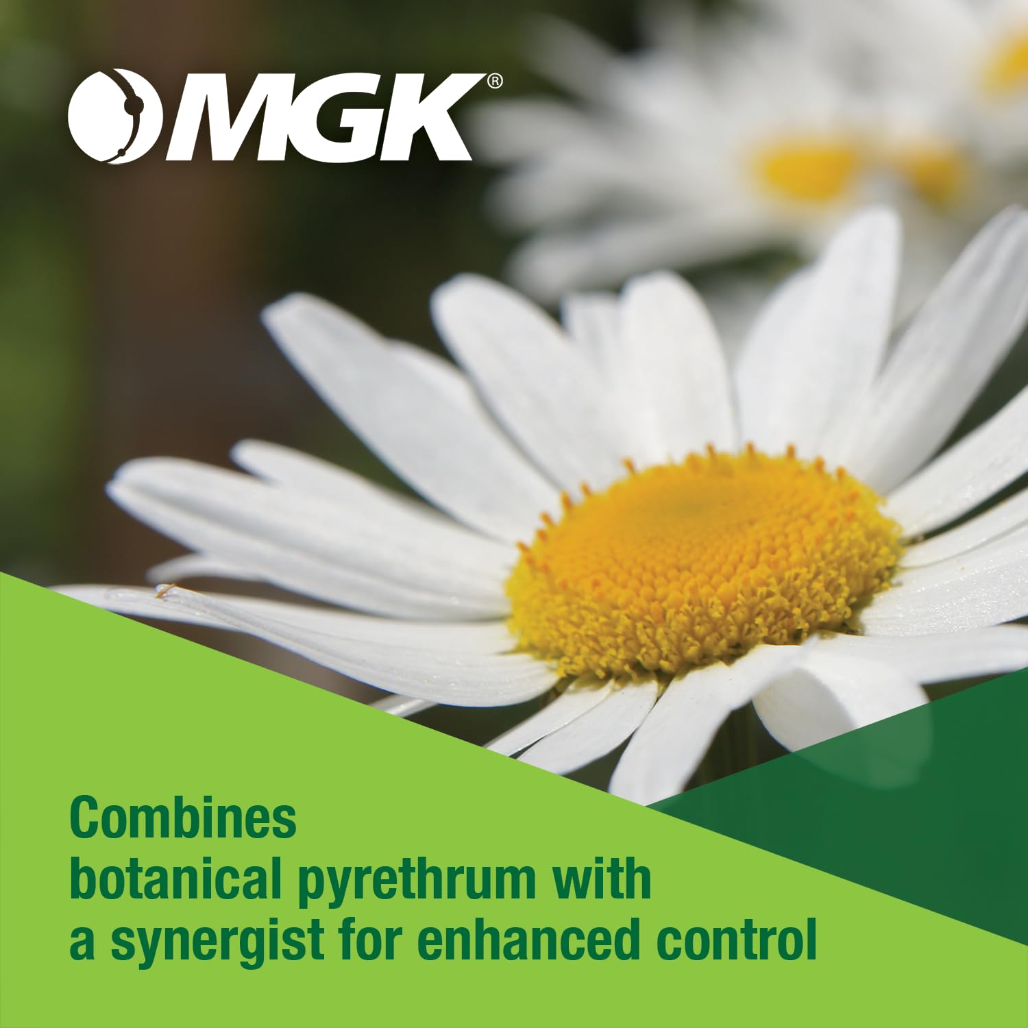 MGK Riptide label highlighting targeted pests and usage directions