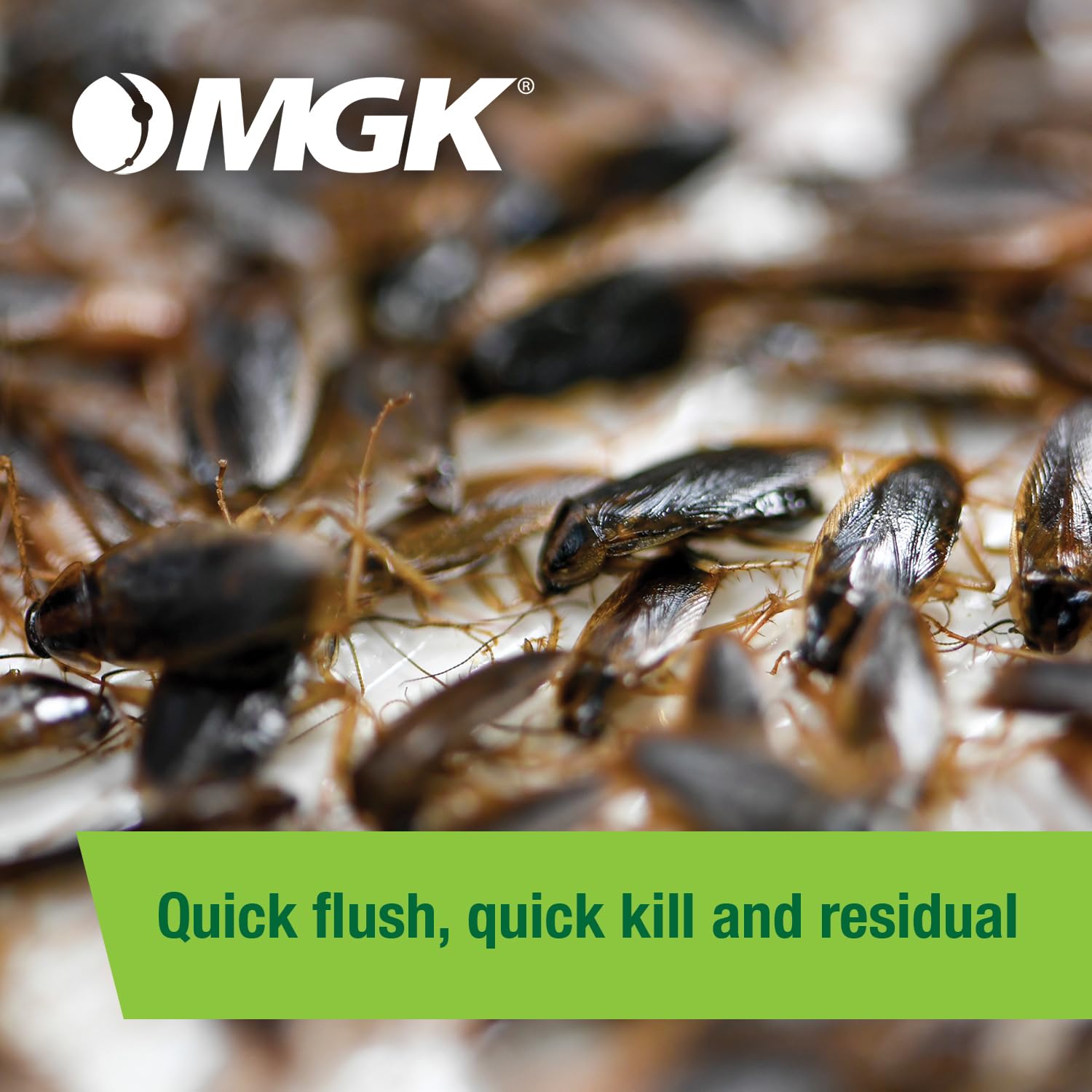 Perimeter application with MGK Shockwave 1 to deter roach entry.