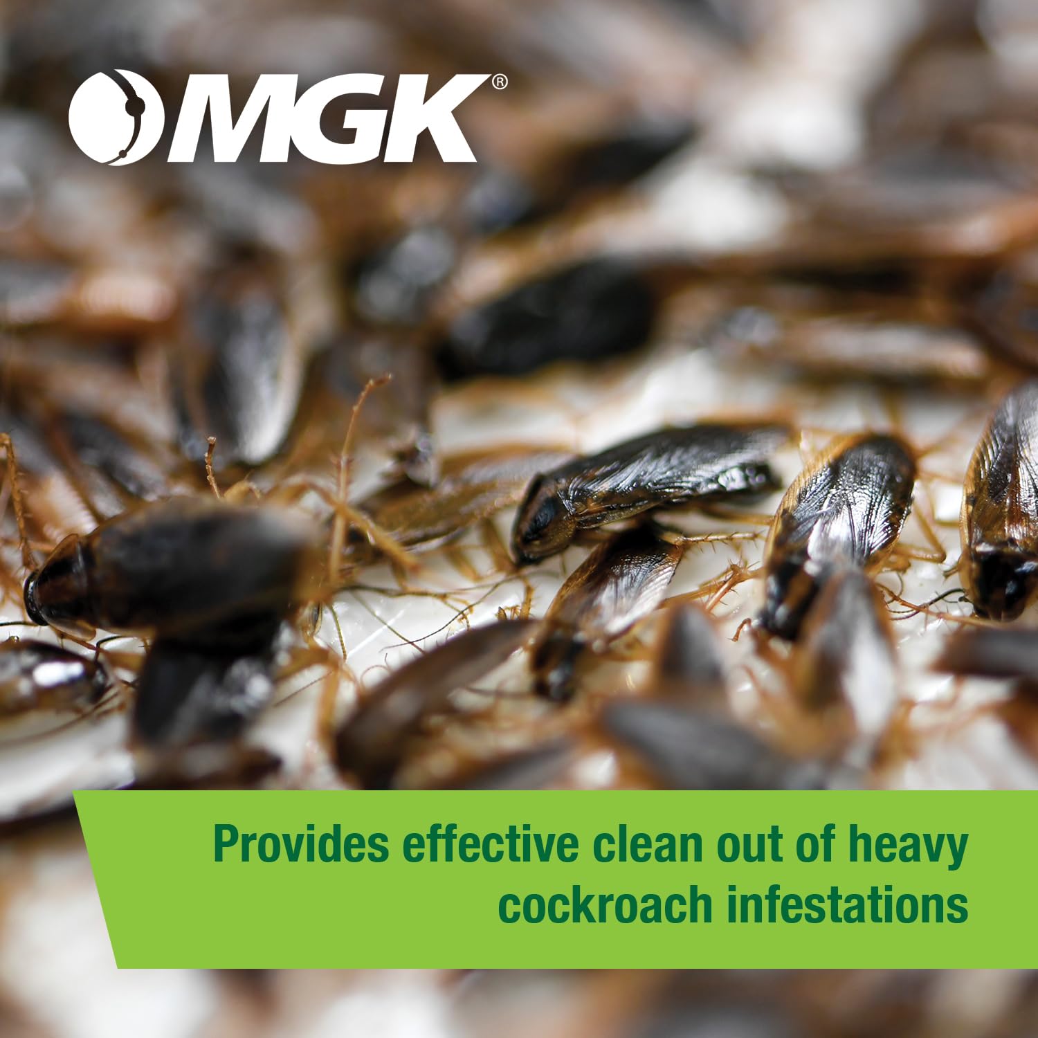 MGK Vendetta Nitro brand heritage since 1902 reinforces trusted pest control solutions.