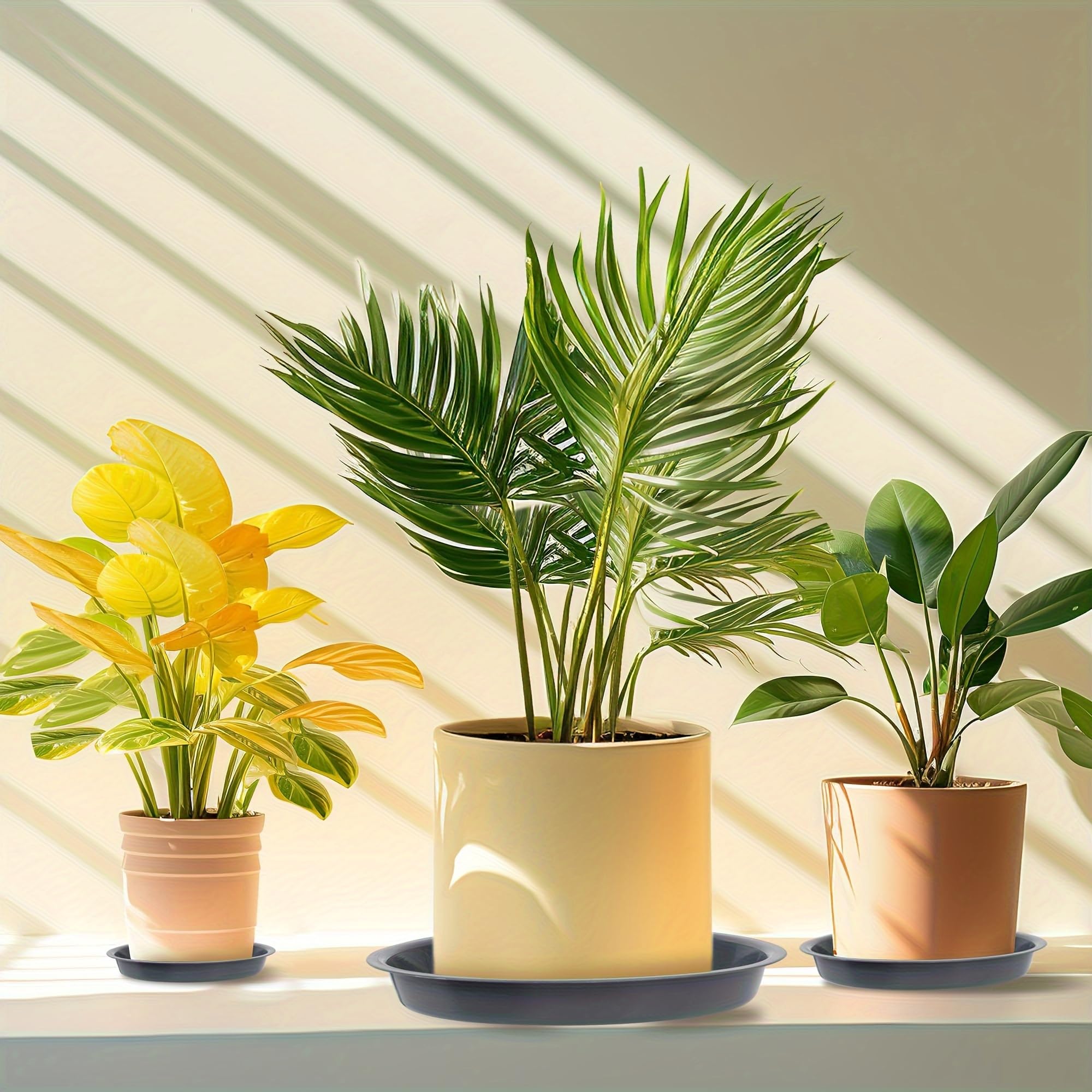 MHXWNHA 12-pack packaging delivers versatile pot protection.