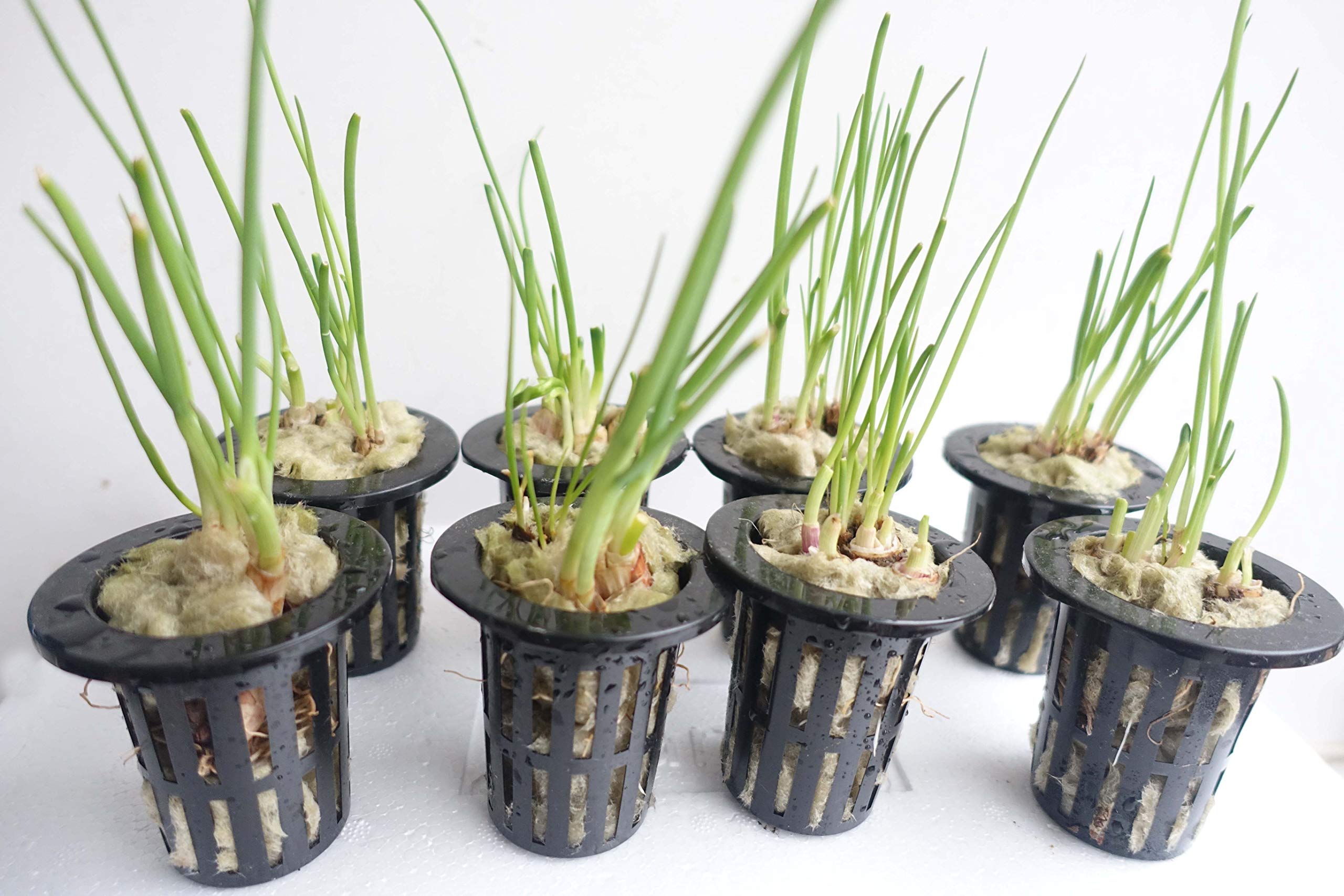 MI0512 2 sheet bulk packaging supports bulk hydroponic starting media