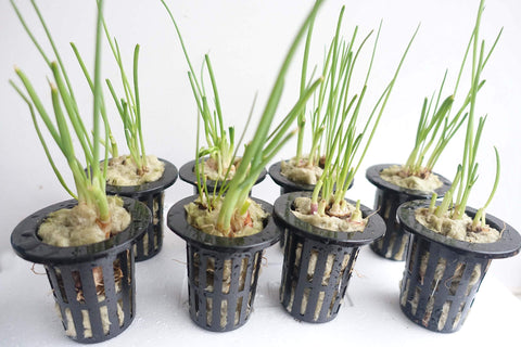 MI0512 2 sheet bulk packaging supports bulk hydroponic starting media