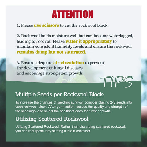 Rockwool retains water and nutrients to support steady growth.