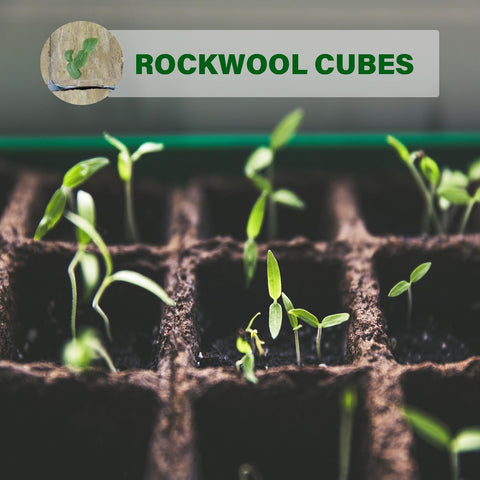 MI0512 sheet of 28 rockwool cubes ready for propagation in hydroponics.