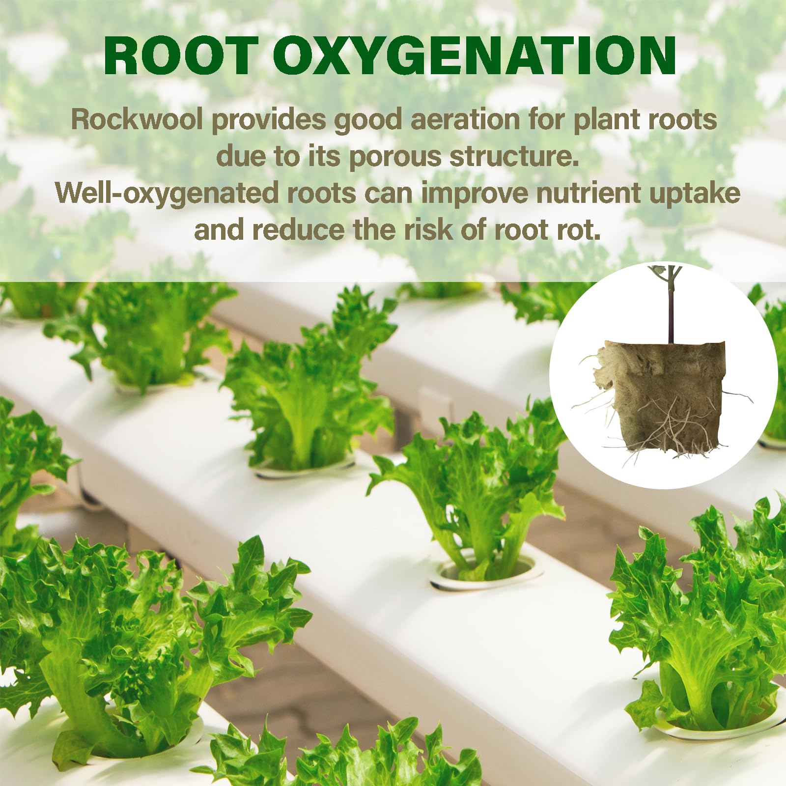 MI0512 Rockwool sterile growing medium supports clean rooting for cuttings