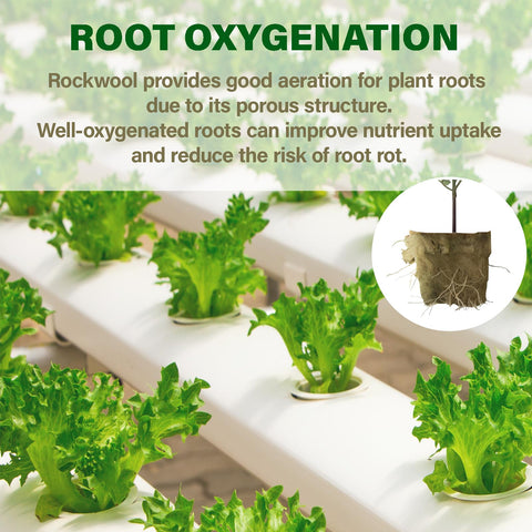 MI0512 Rockwool sterile growing medium supports clean rooting for cuttings