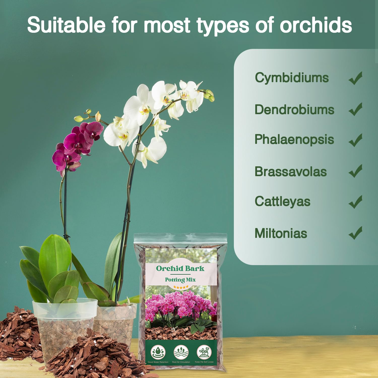 MIALEXO orchid bark potting mix image demonstrates air flow around orchid roots.