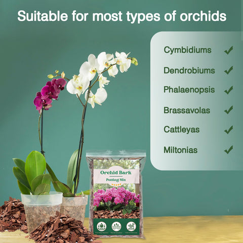 MIALEXO orchid bark potting mix image demonstrates air flow around orchid roots.