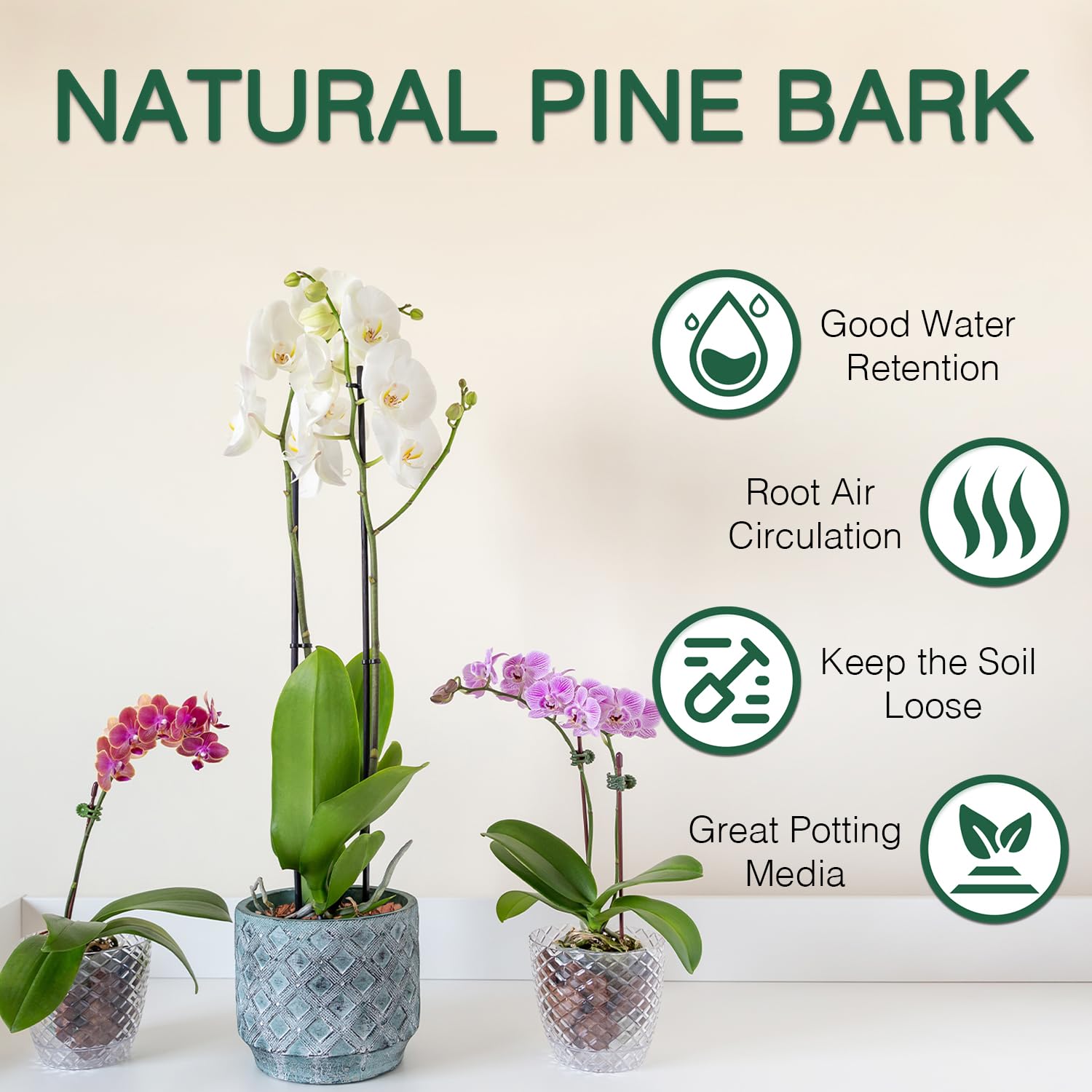 MIALEXO orchid bark potting mix packaging 2QT ready to use.
