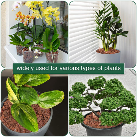 MIALEXO orchid bark potting mix root channels created by irregular bark pieces.