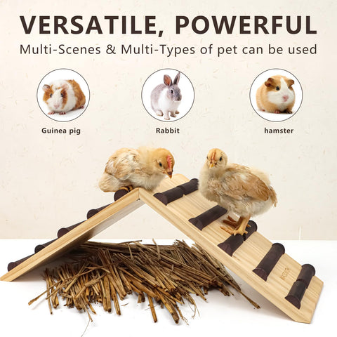 MIAOWITH chicken perch side view showcases the 2-in-1 design in a coop setup.
