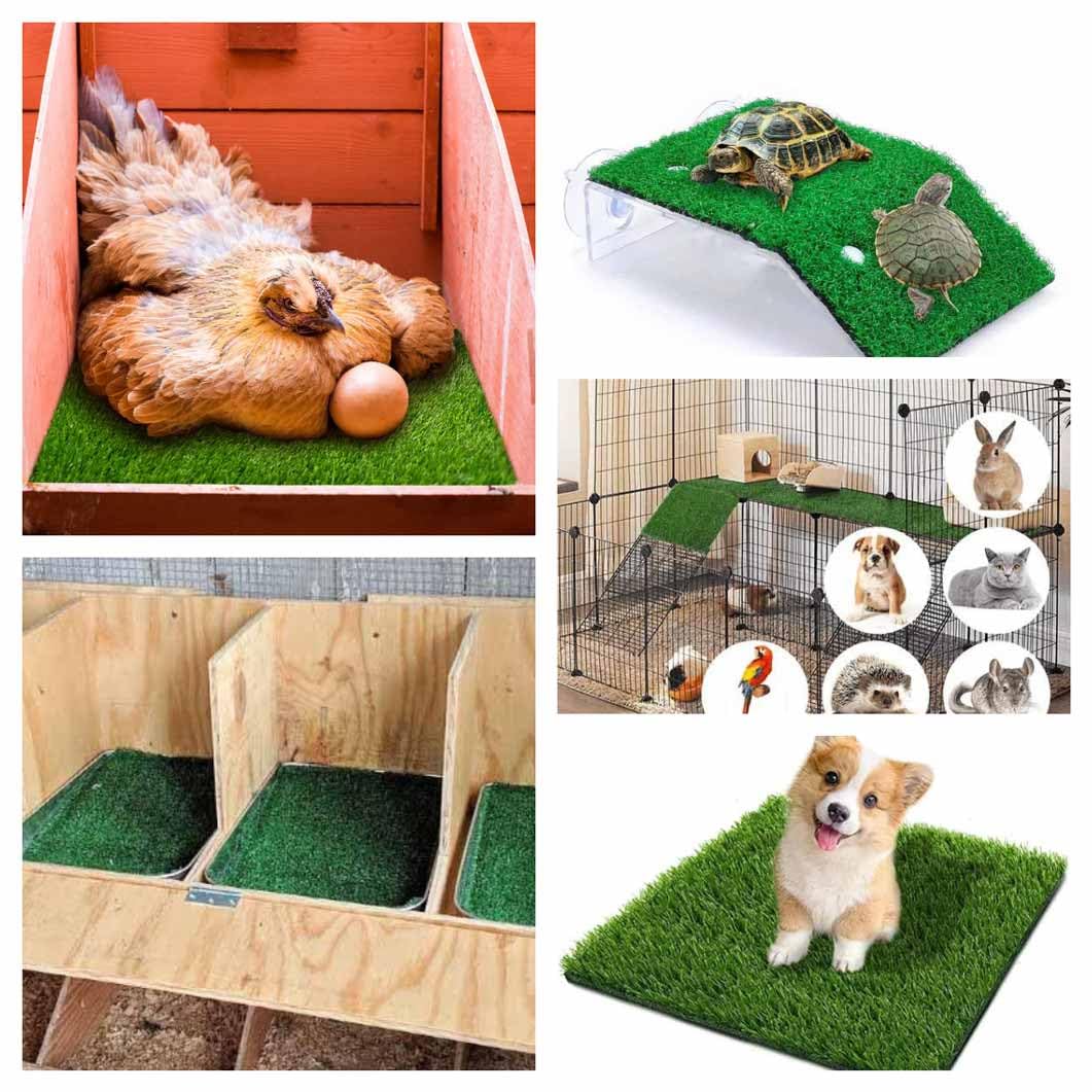 MIAOXSEN versatile nest pads for indoor and outdoor chicken areas.