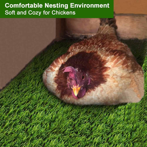 MIAOXSEN nesting pad with perforated base promotes quick drainage and dry bedding.