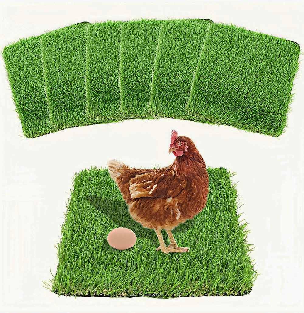 MIAOXSEN washable nesting pad 12x12 six-pack, easy to clean in a coop.