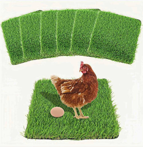 MIAOXSEN washable nesting pad 12x12 six-pack, easy to clean in a coop.