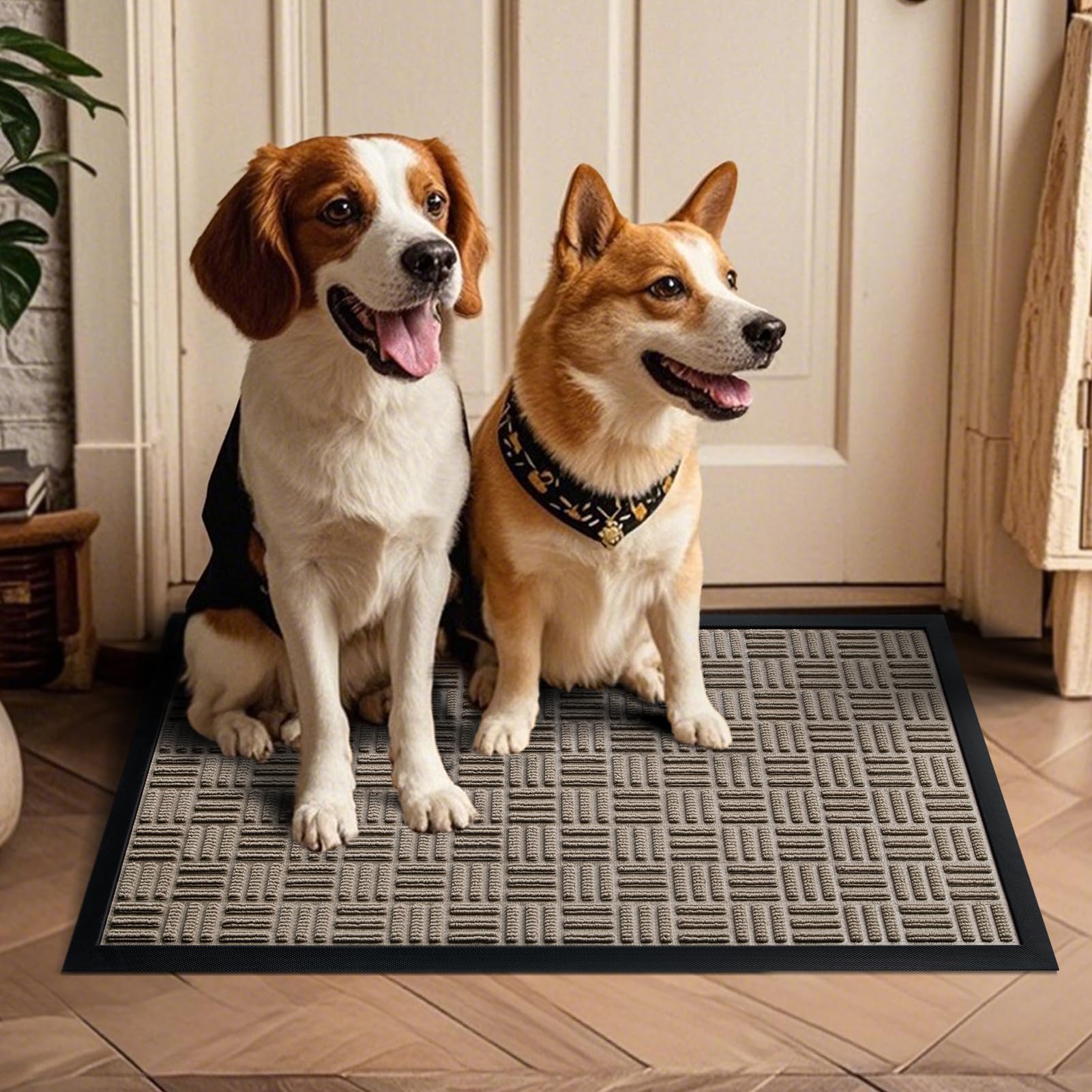 Mibao easy-clean surface accepts vacuuming, shaking, or hose rinsing.
