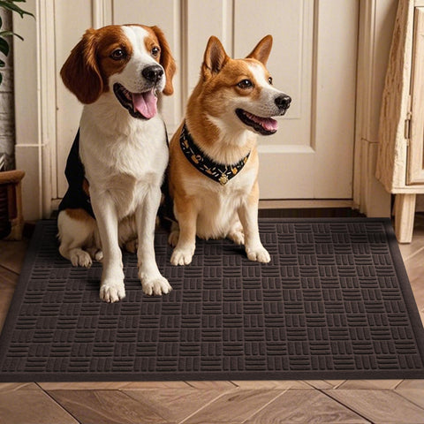Mibao front door mat coffee color low-profile design prevents door from sticking
