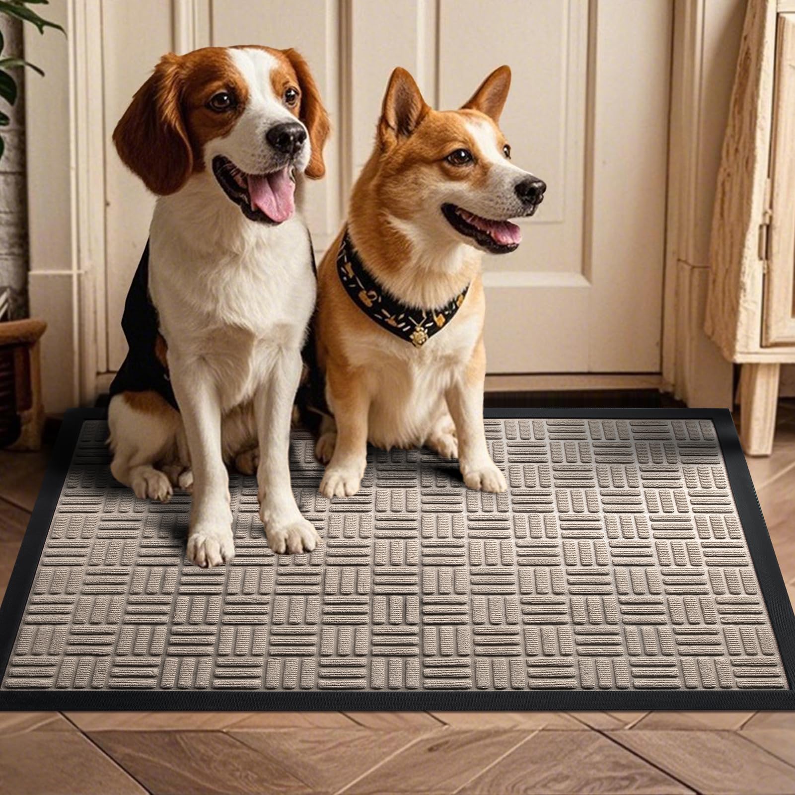 Mibao front door mat resists dirt and stays put on dry floors.
