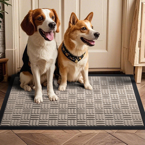 Mibao front door mat resists dirt and stays put on dry floors.