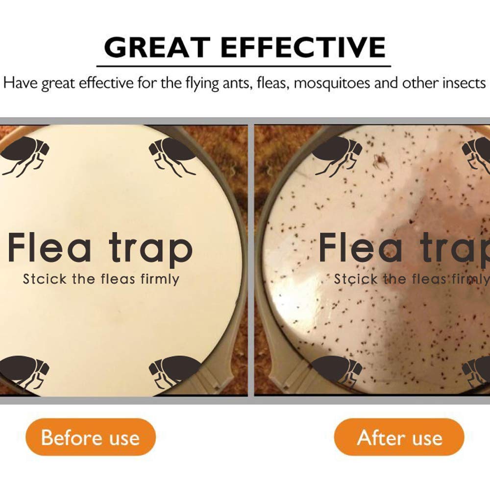 Micnaron indoor flea trap refill in home setup, helps monitor activity.
