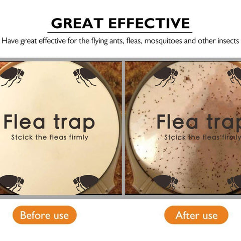 Micnaron indoor flea trap refill in home setup, helps monitor activity.