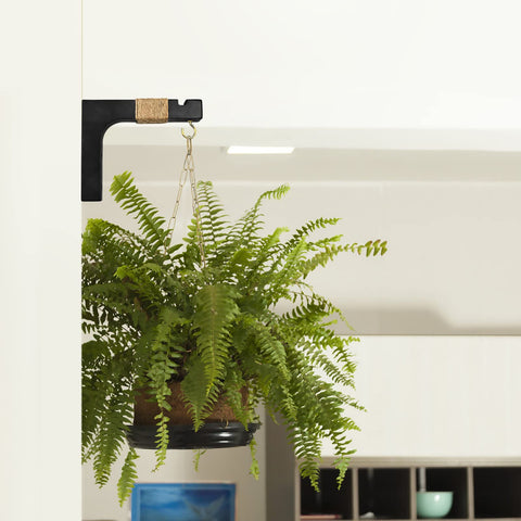 Micovay heavy-duty hook supports up to 15 pounds without wall contact