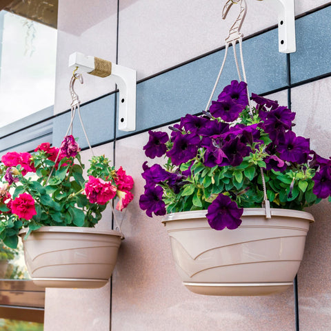 Micovay plant hanger hook with dual screw holes offers quick installation.