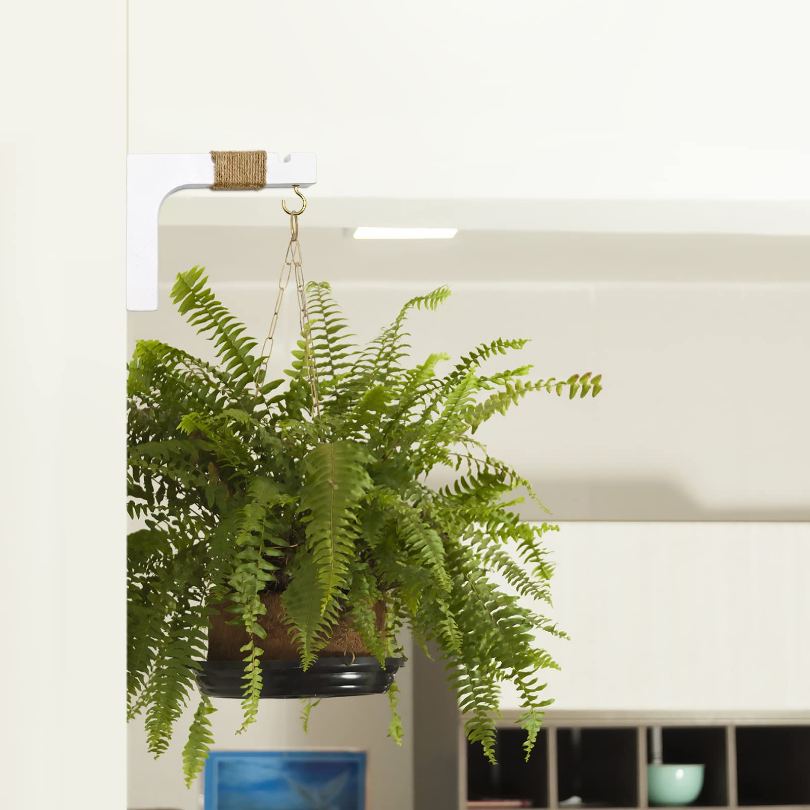 Micovay plant hanger hook measures about 6x5x1 inches for versatile display.