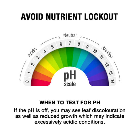 Close-up of the Microbe Life Hydroponics pH Up label highlighting buffering action